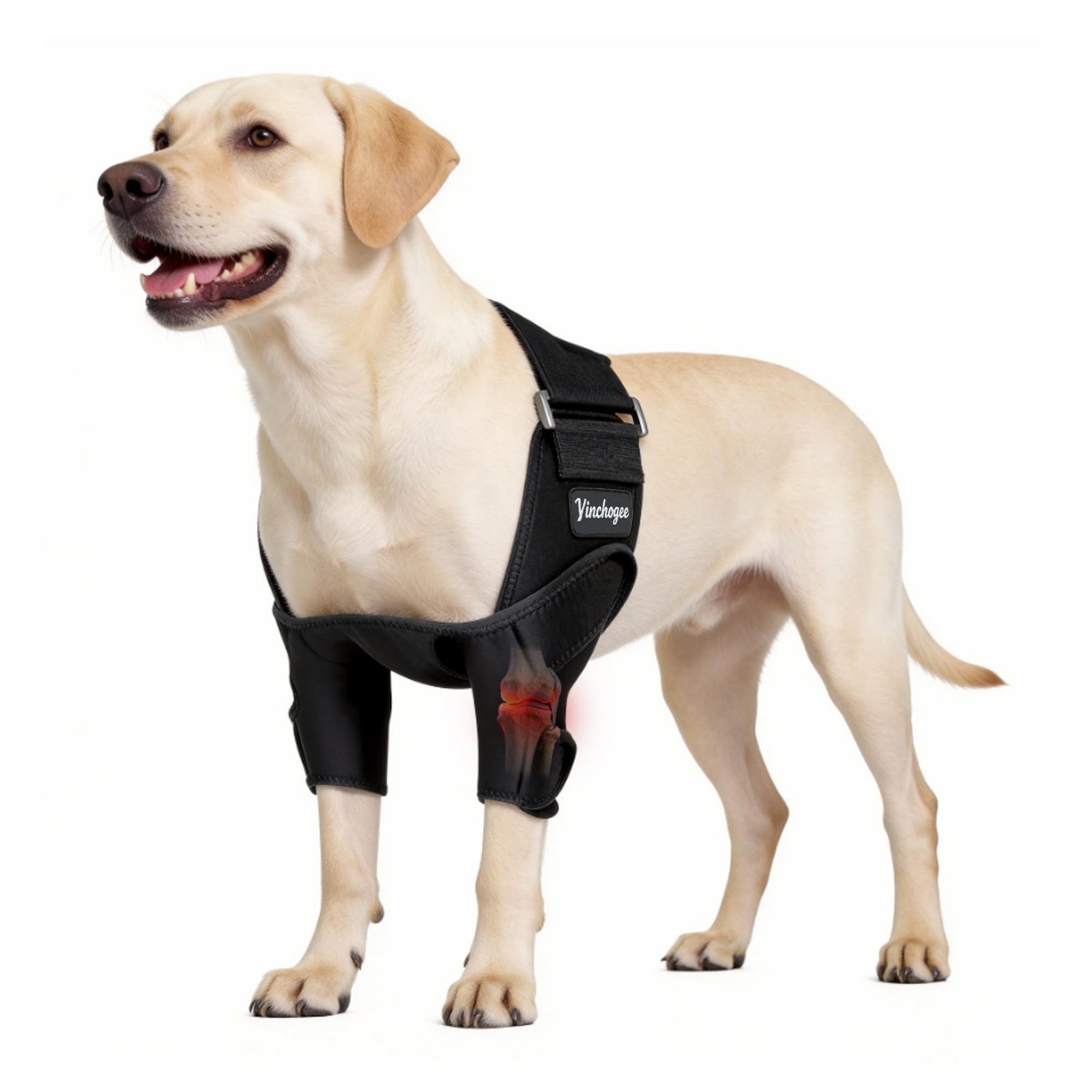 Adjustable Dog Elbow Brace Protector Pads – Front Leg Support for Arthritis, Tor