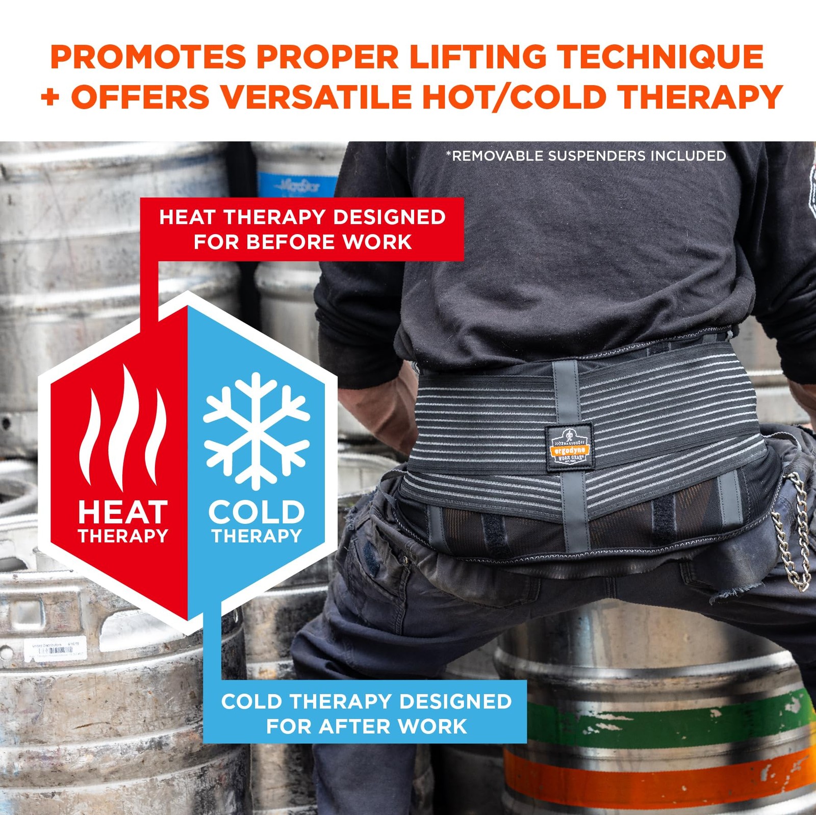 Proflex 1675 Back Support Brace Belt with Warming and Cooling Pack Support