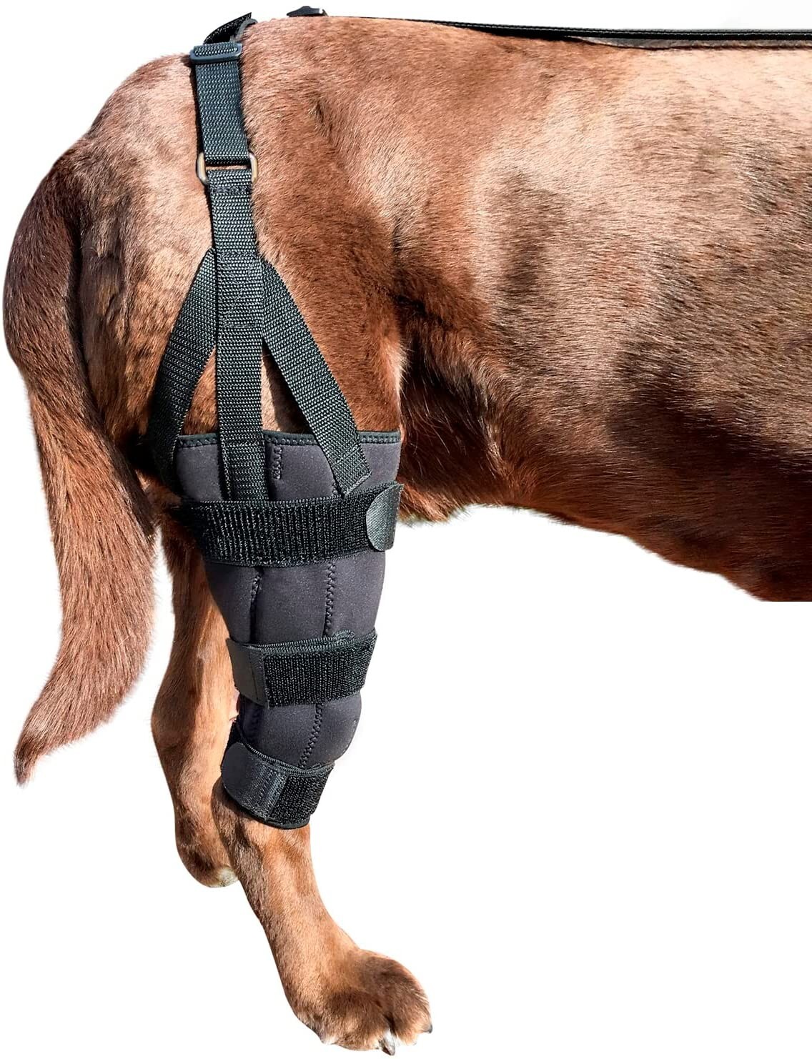Labra Dog Canine K9 Knee Stifle Brace Wrap Metal Splint Hinged Flexible Support