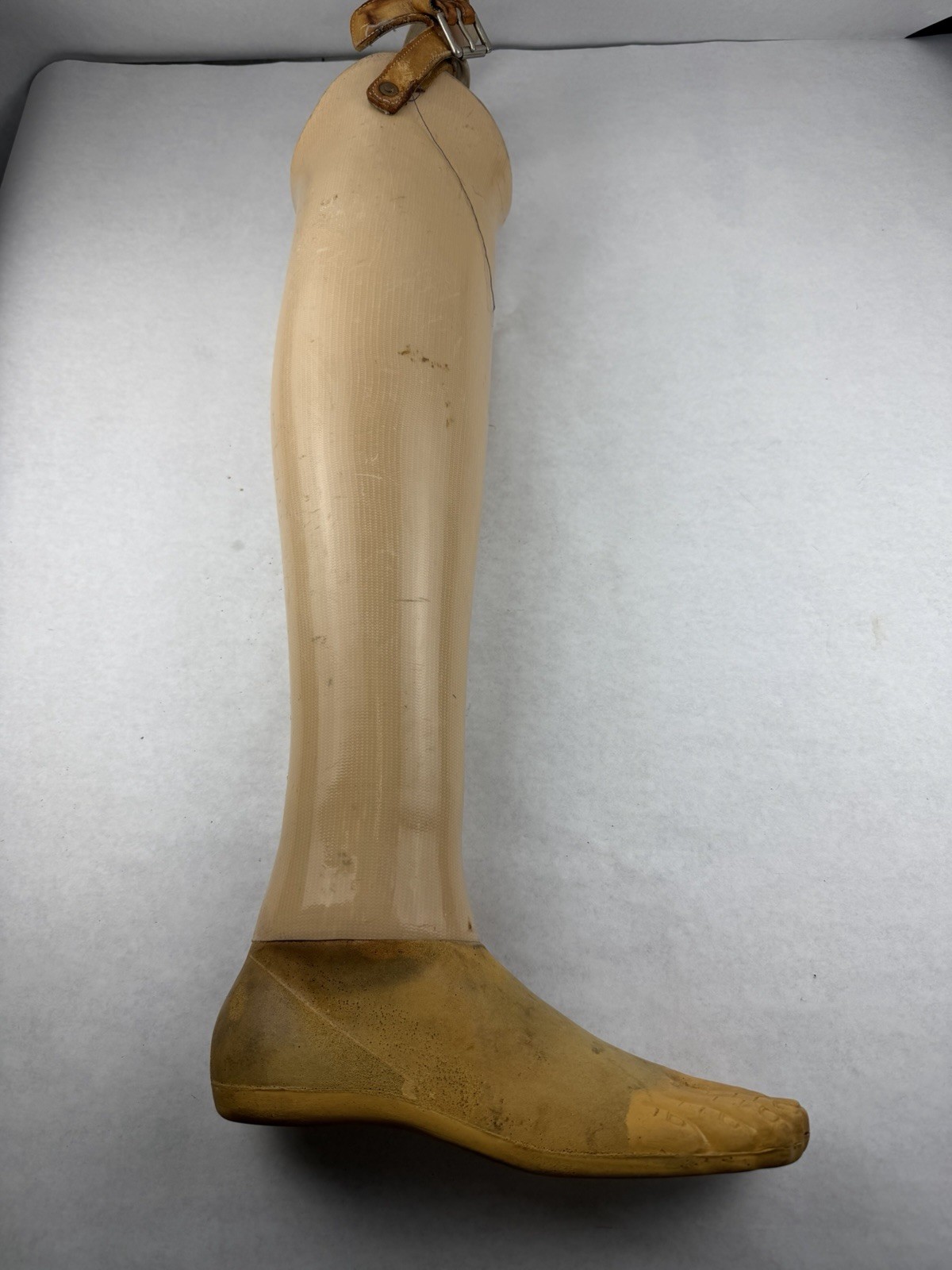 Womens Below The Knee Prosthetic Right Leg & Foot Size 7 Pre-owned