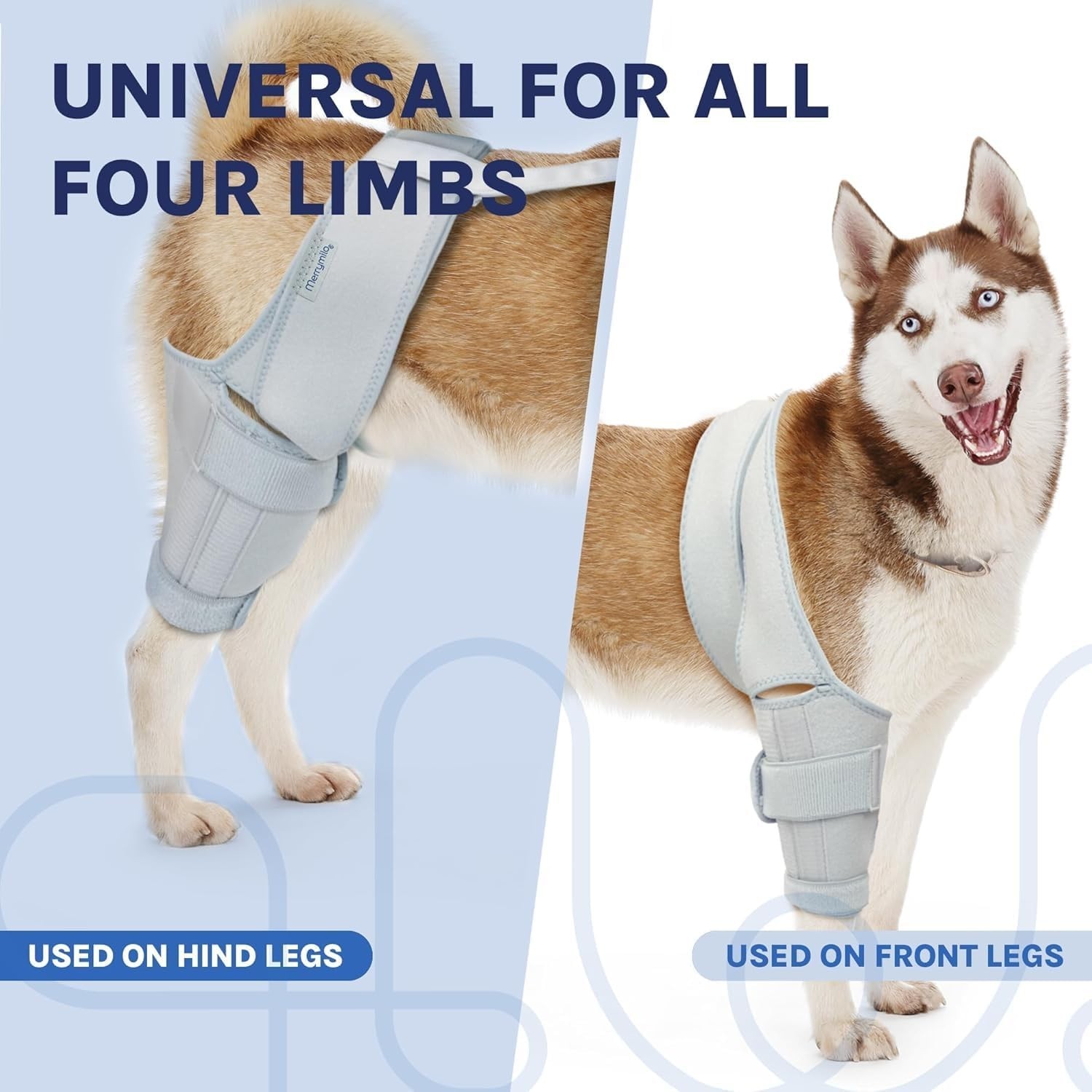 Hind Leg Dog Knee Brace – ACL Support, Cruciate Ligament & Arthritis Relief, XL
