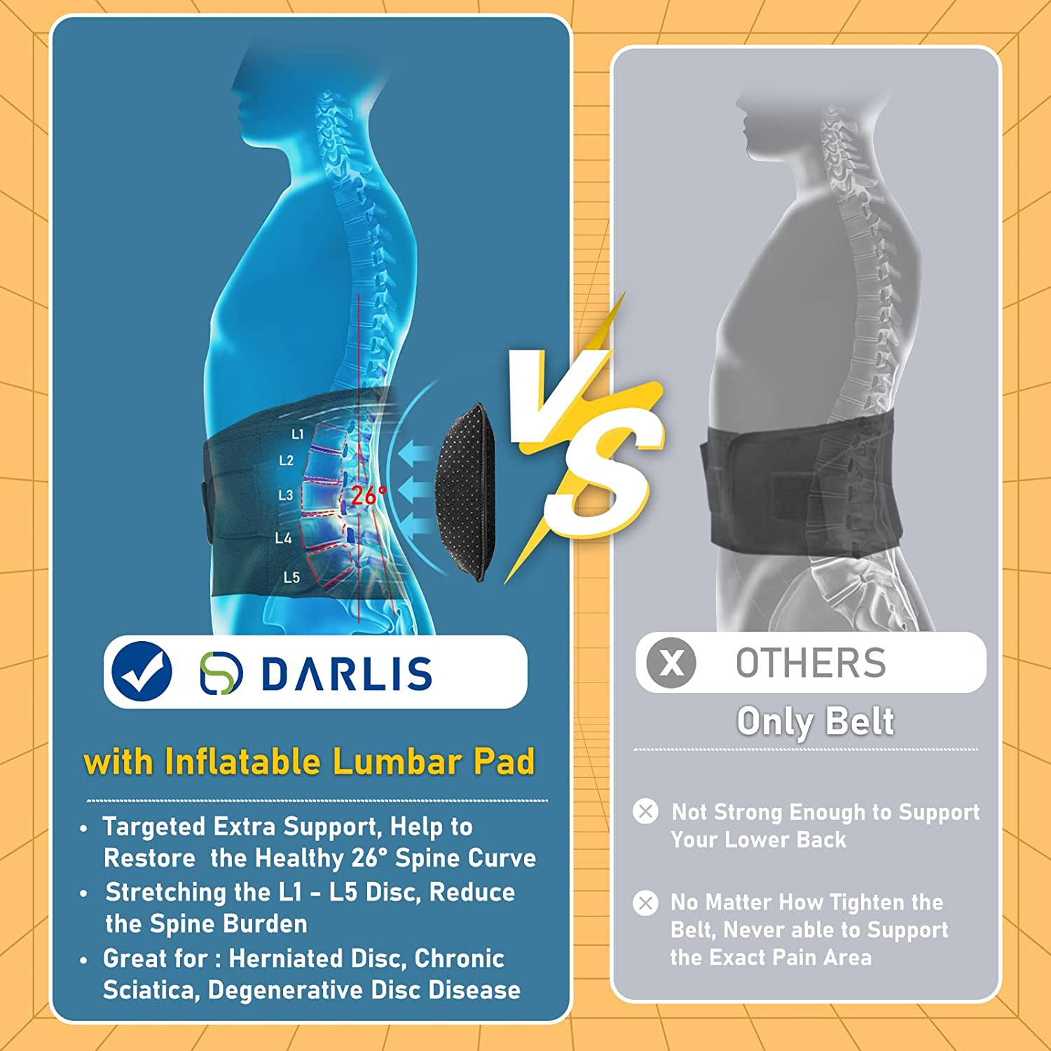 DARLIS plus Size Back Brace with Inflatable Lumbar Pad – Extra Support