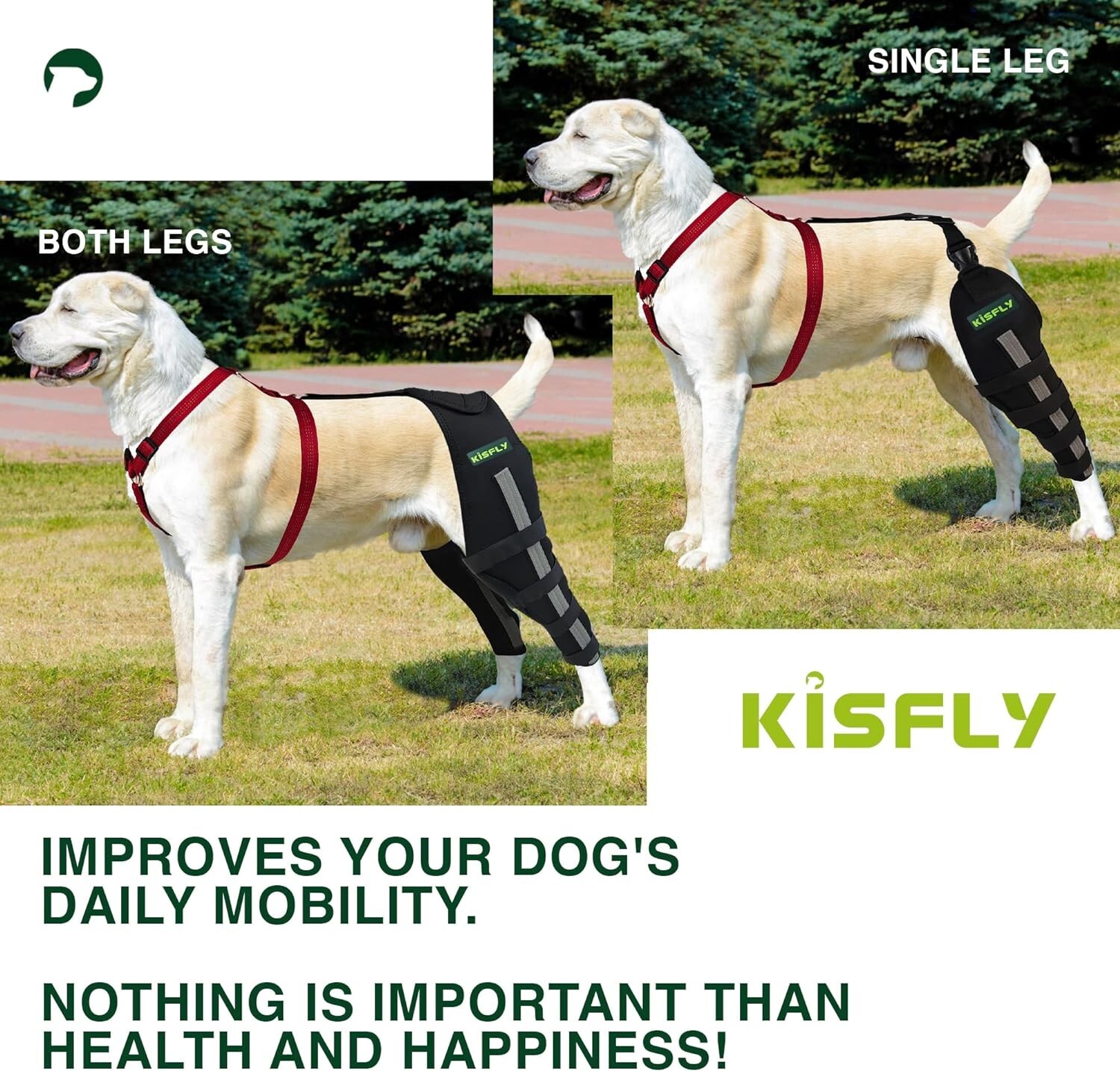 Rear Leg Braces Dogs Luxating Patella Joint Pain Knee Brace Both Legs Large