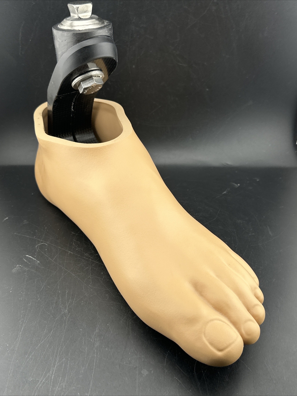 freedom sierra prosthetic foot. size 31. category 7. Left Prosthetic Foot