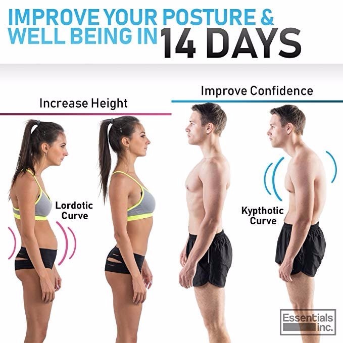 Adjustable to All Body Sizes BodyWellness Posture Corrector FREE SHIPPING