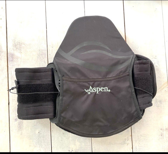 Aspen Horizon 631 LSO Lumbar Support Adjustable Medical Stabilization Back Brace