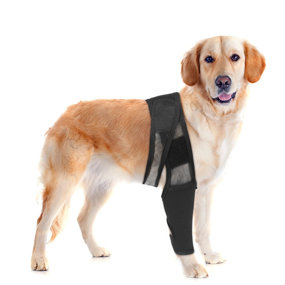 Dog Leg Brace Splint for Front & Back Leg Injury Pet Support Wrap Knee Protector