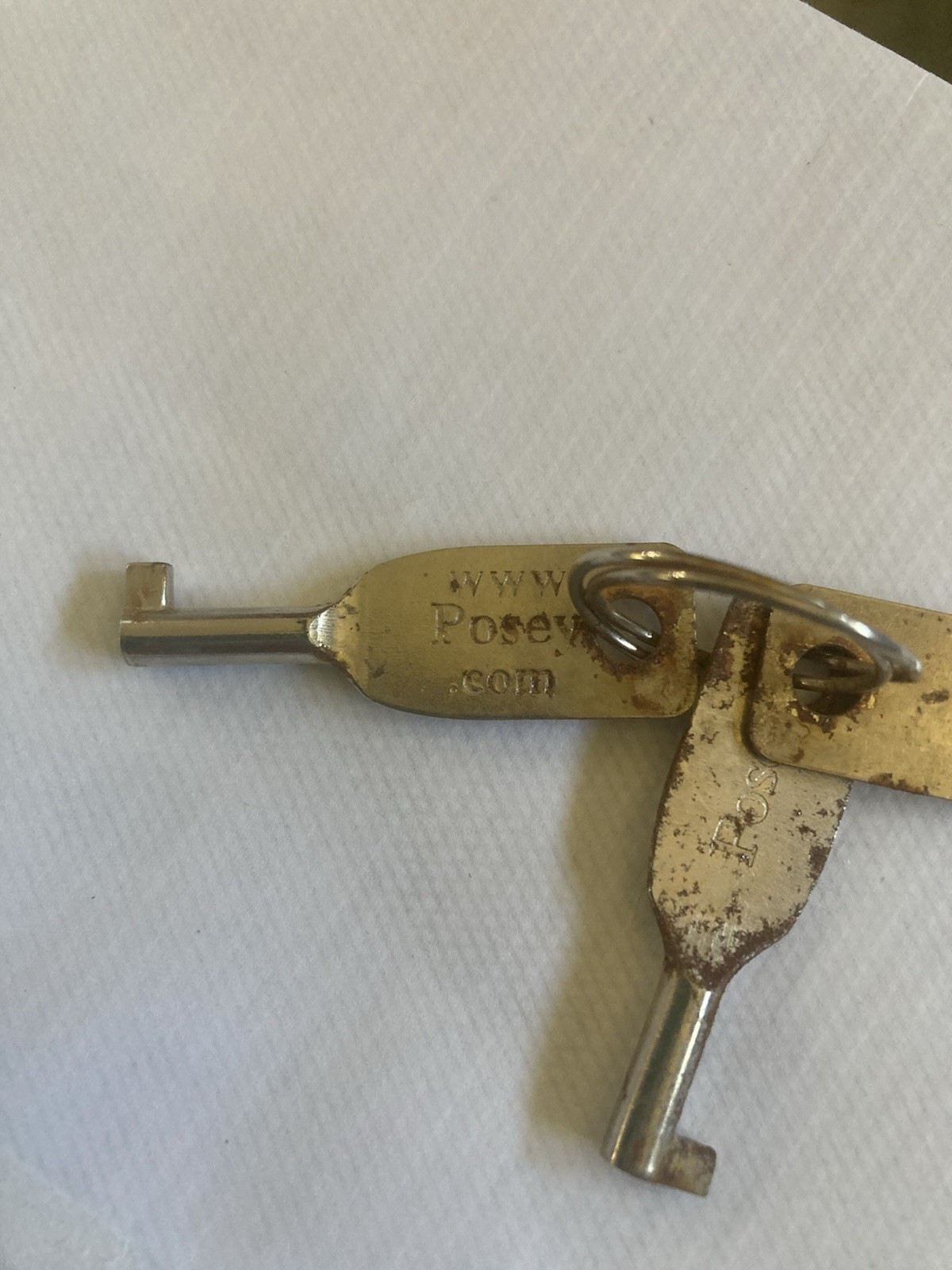 Posey Universal Keys Compatible With Posey Restraint Cuff And Belts Using A Lock