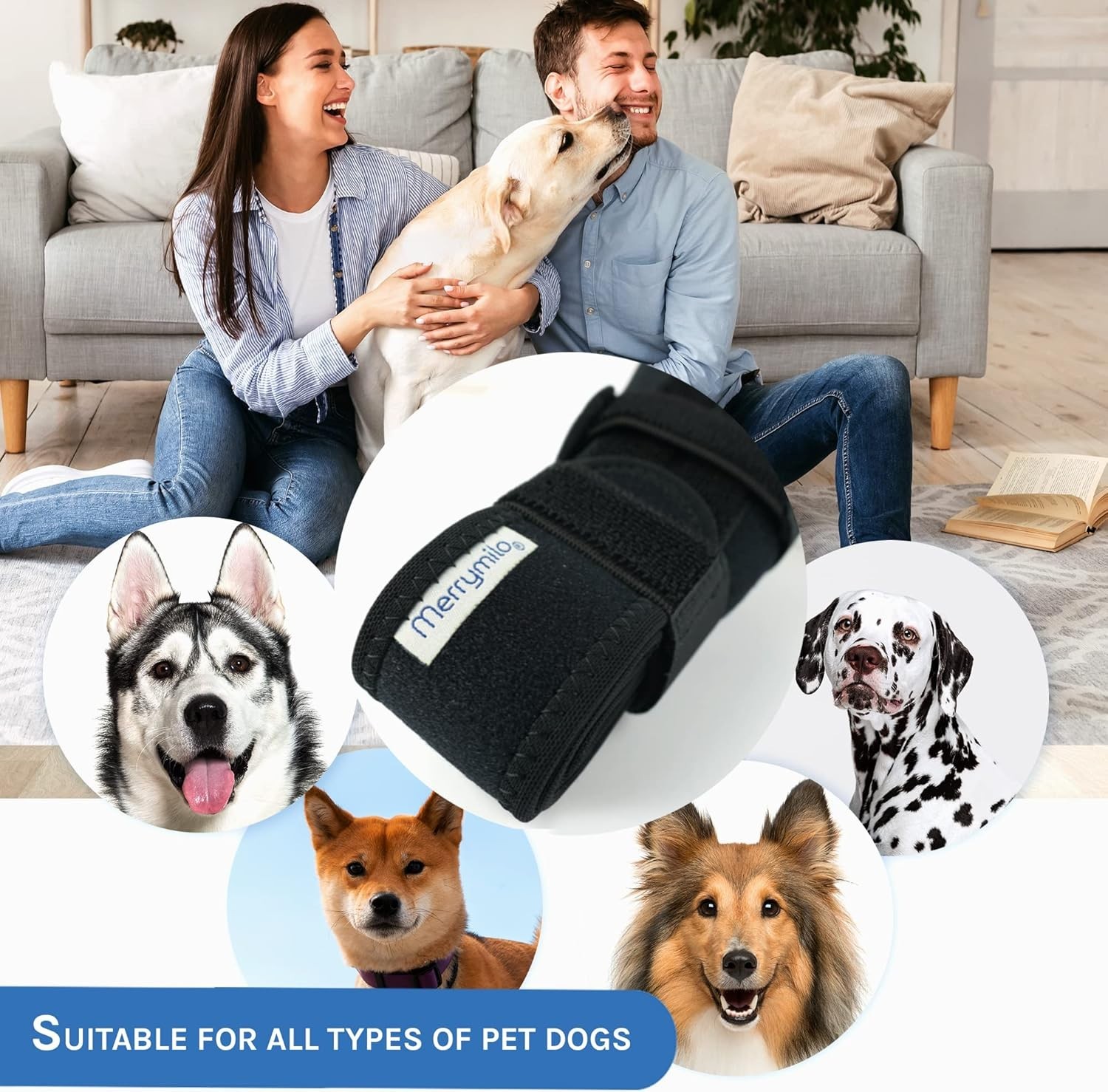 Dog Knee Brace for Torn ACL Hind Leg – Black, Large