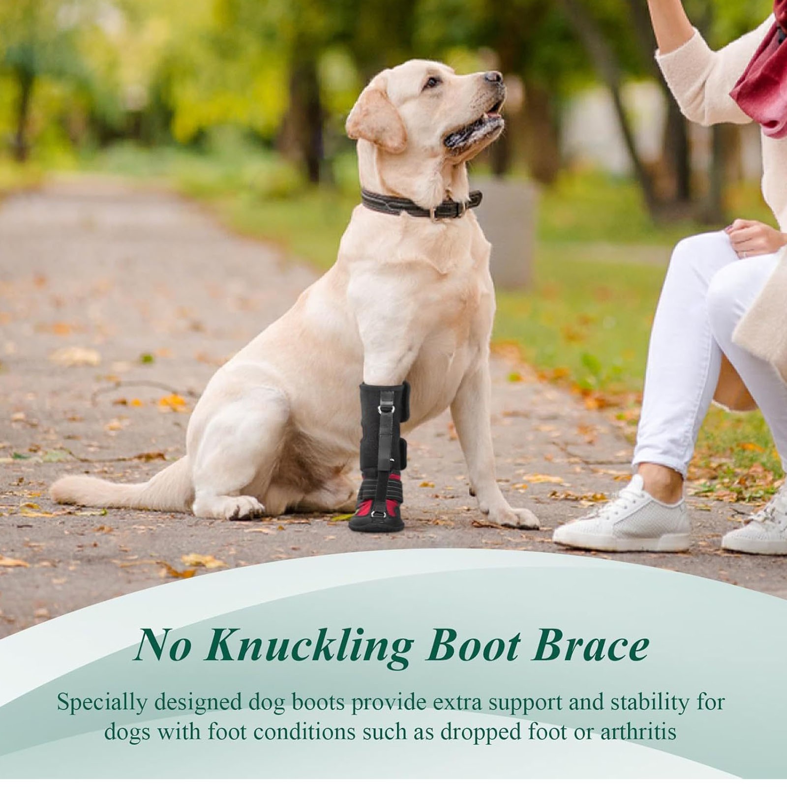 XL Dog Foot Brace Integrated Abrasion Proof Non Slip Sole Bottom Dog Boot