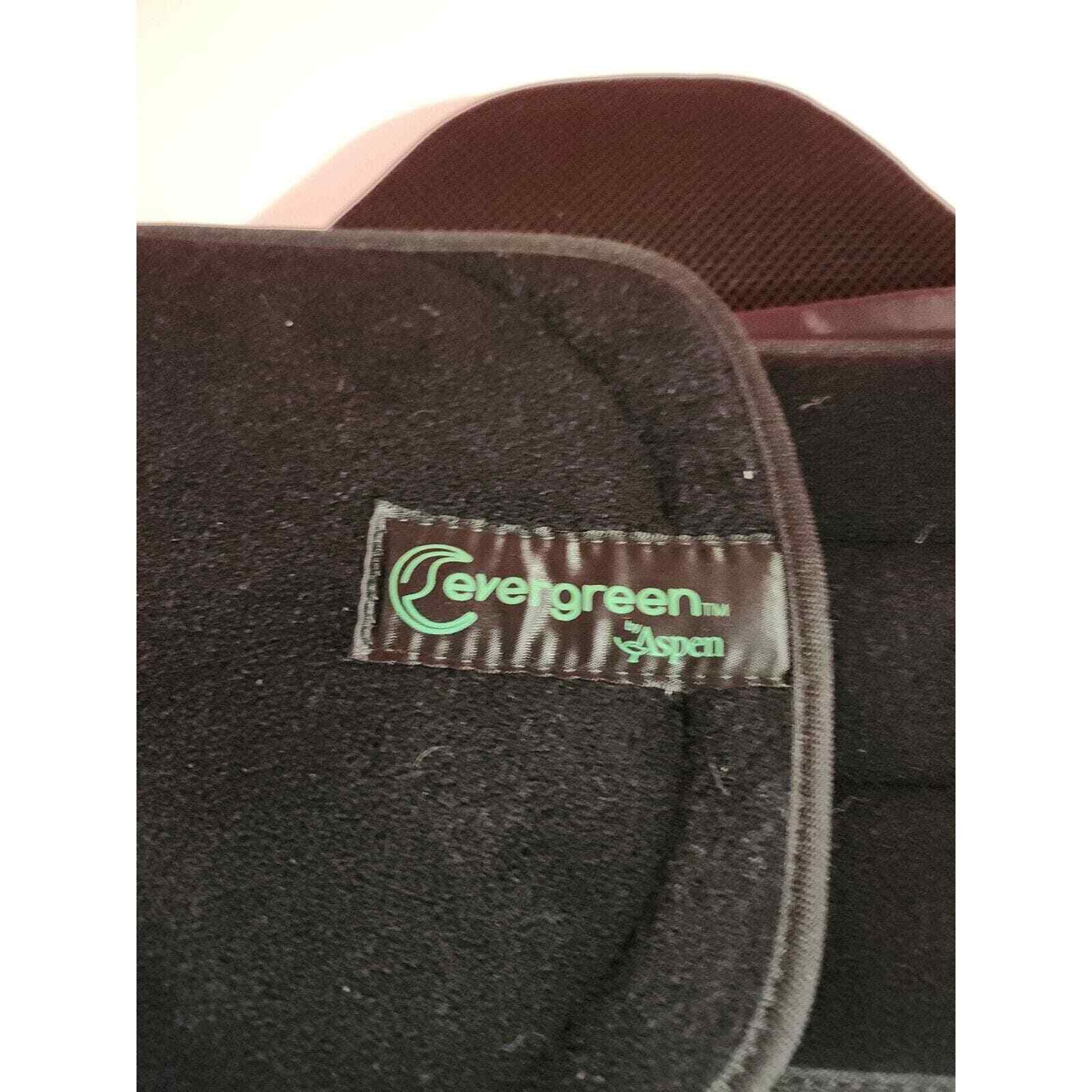 Back Support Brace Evergreen By Aspen One Size Adjustable EUC