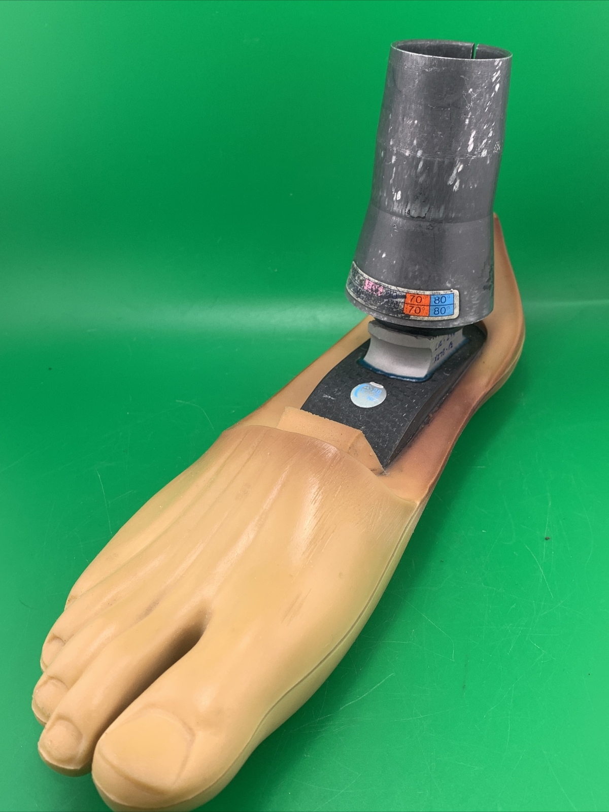 endolite blatchford multiflex prosthetic foot and Ankle. Right Foot, size 27