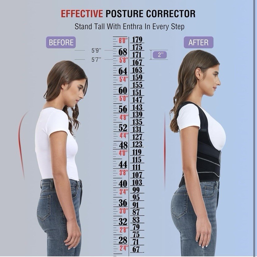 Enthra Back Brace Posture Corrector for Women/Men Lower Back Pain Relief Medium
