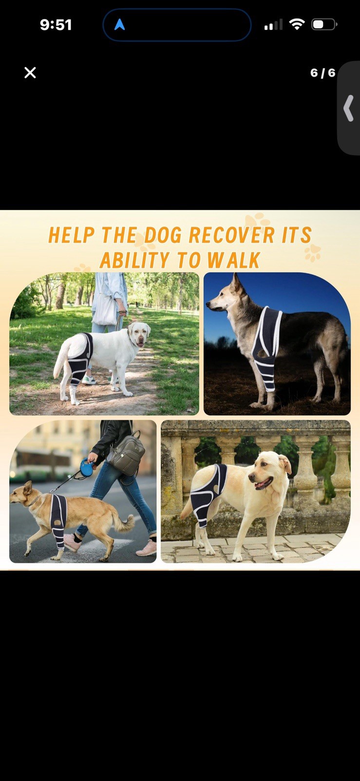 XUVIRA.Dog Knee Brace for Acl and Ccl Injuries – Adjustable, Comfortable Support