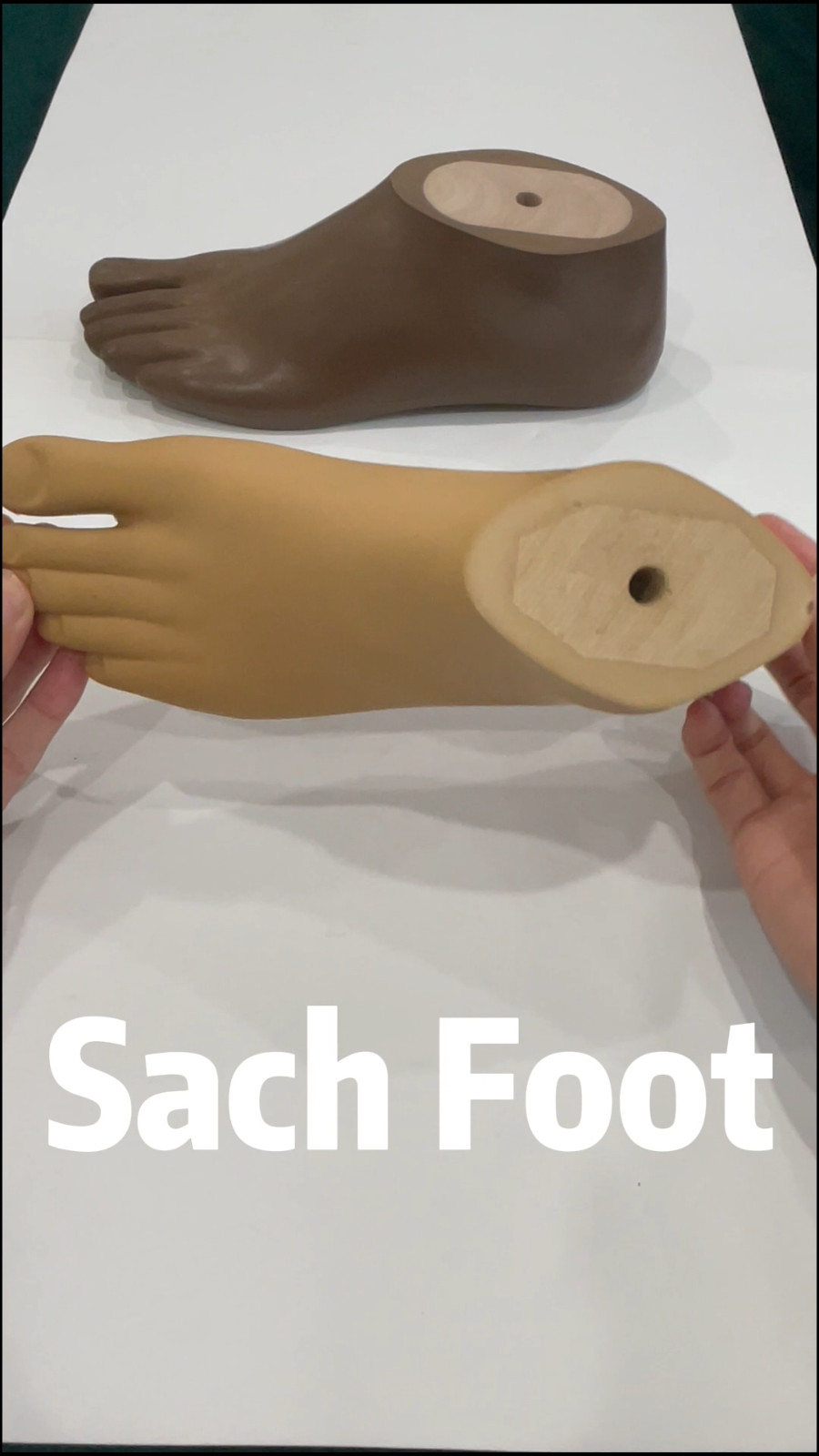Prosthetic SACH Foot Beige/Brown | Size 12–30 | Left/Right | Universal Fit