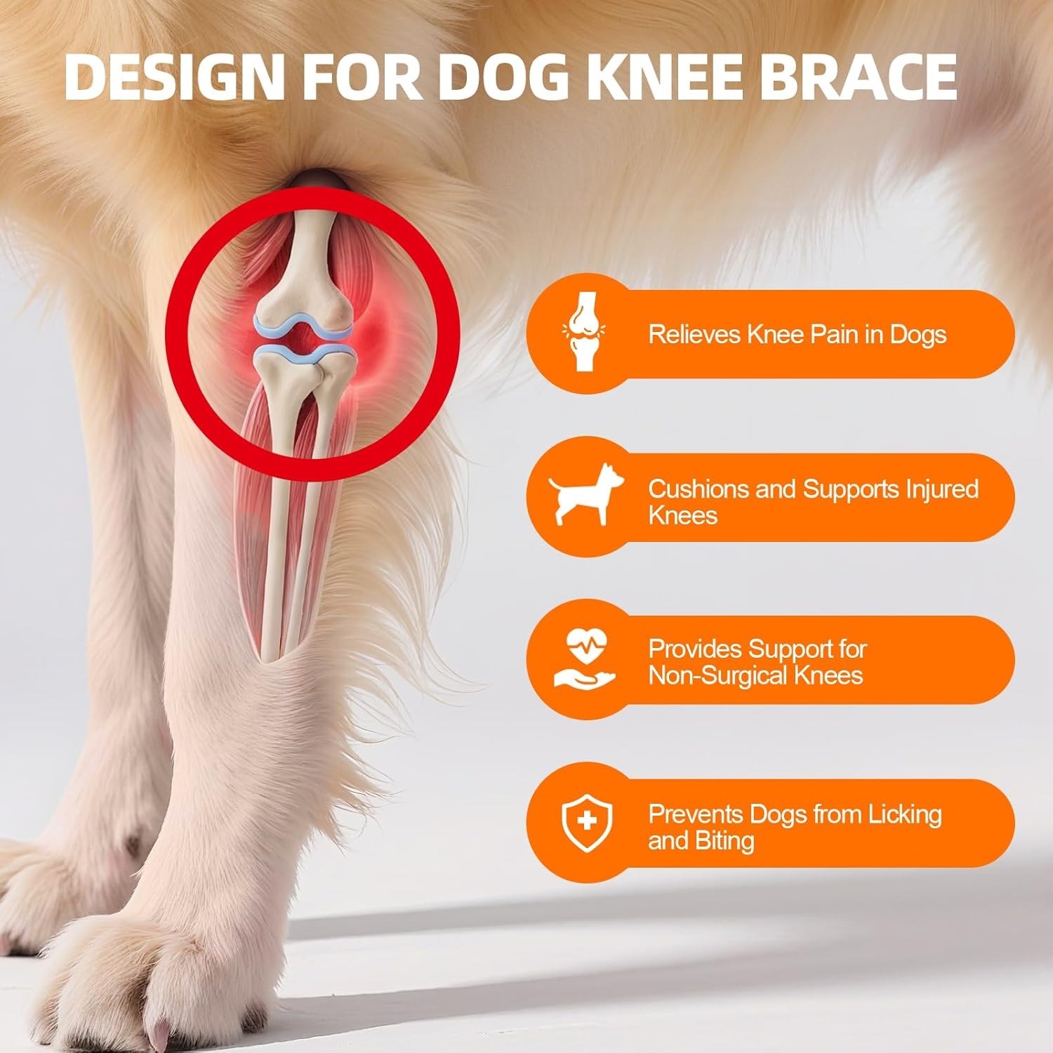 Dog Knee/Hip Brace Torn ACL with Side Stabilizers, Arthritis/Joint Support MED