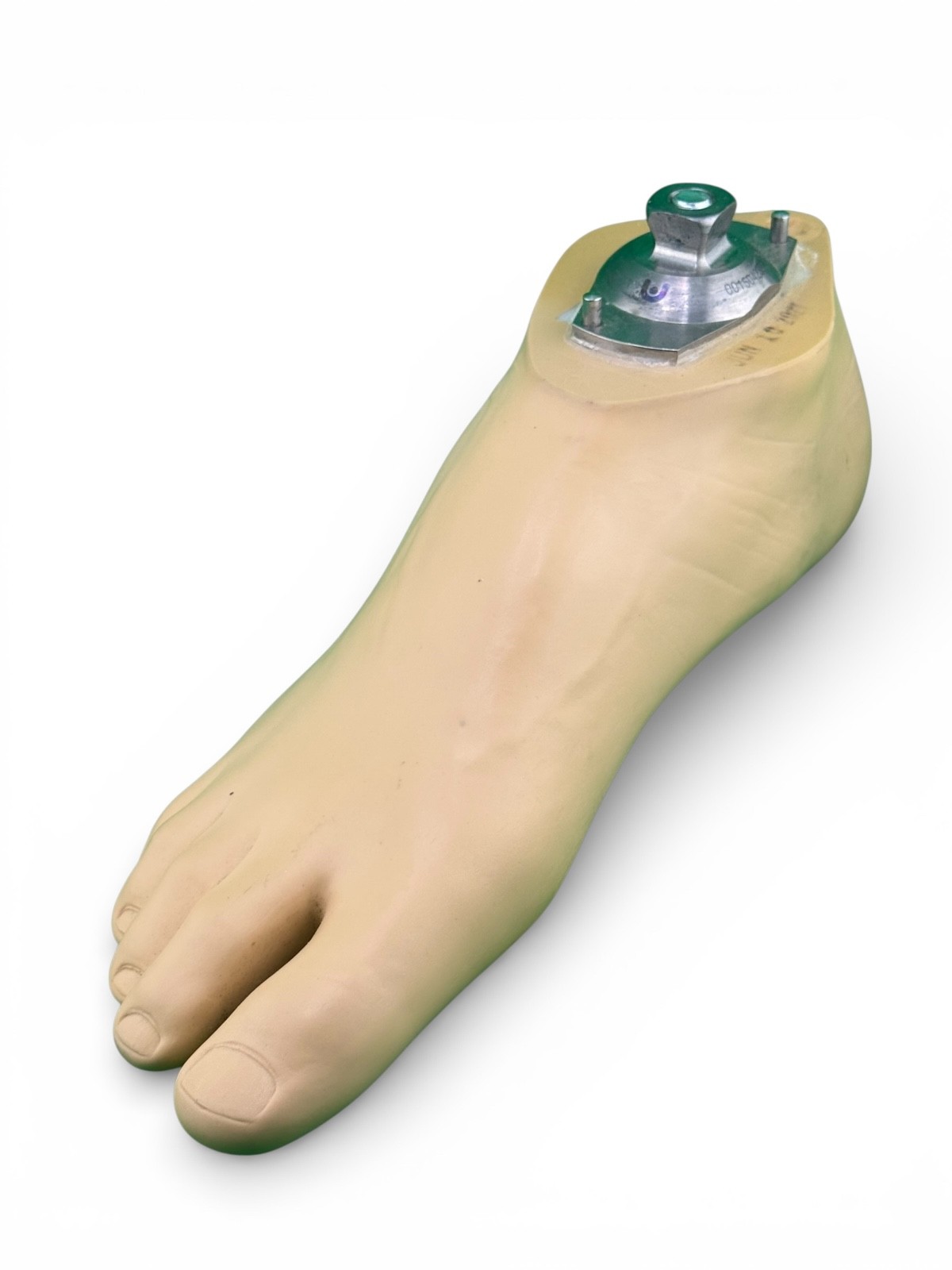 Prosthetic sach foot. Right foot. Size 26. Great condition