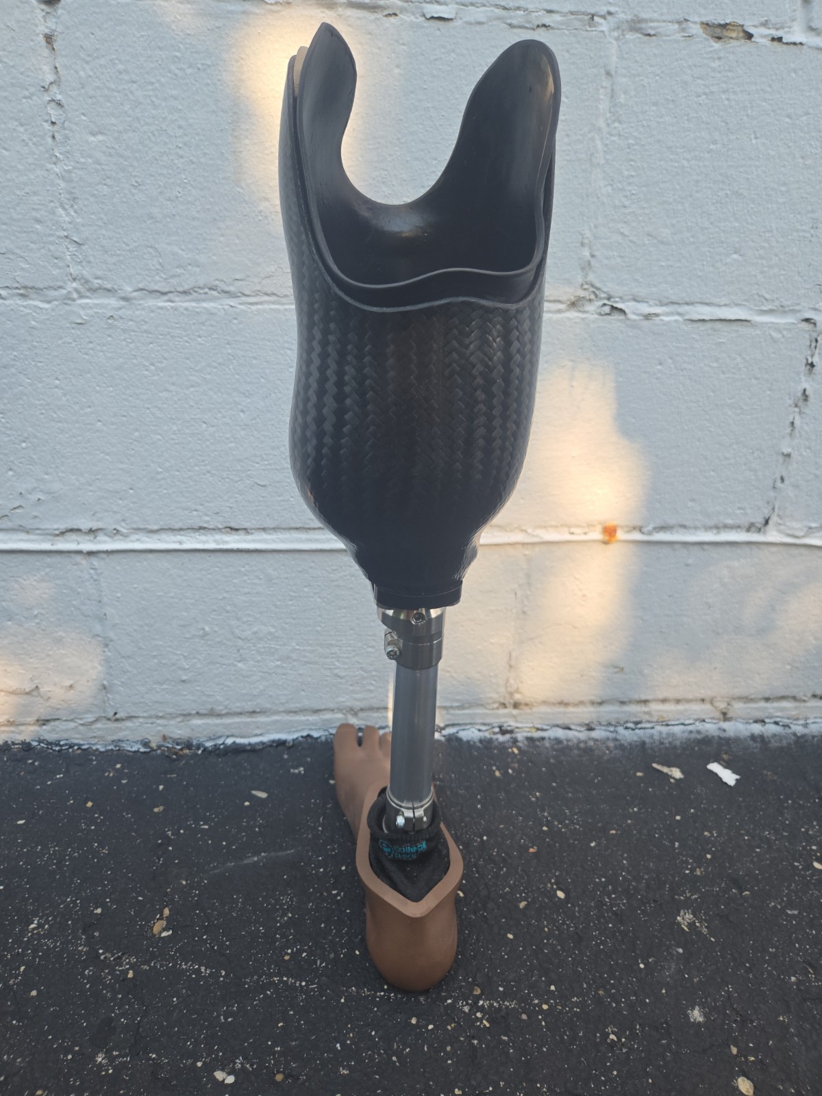Orthopedic Prosthetic Below The Knee Right Foot