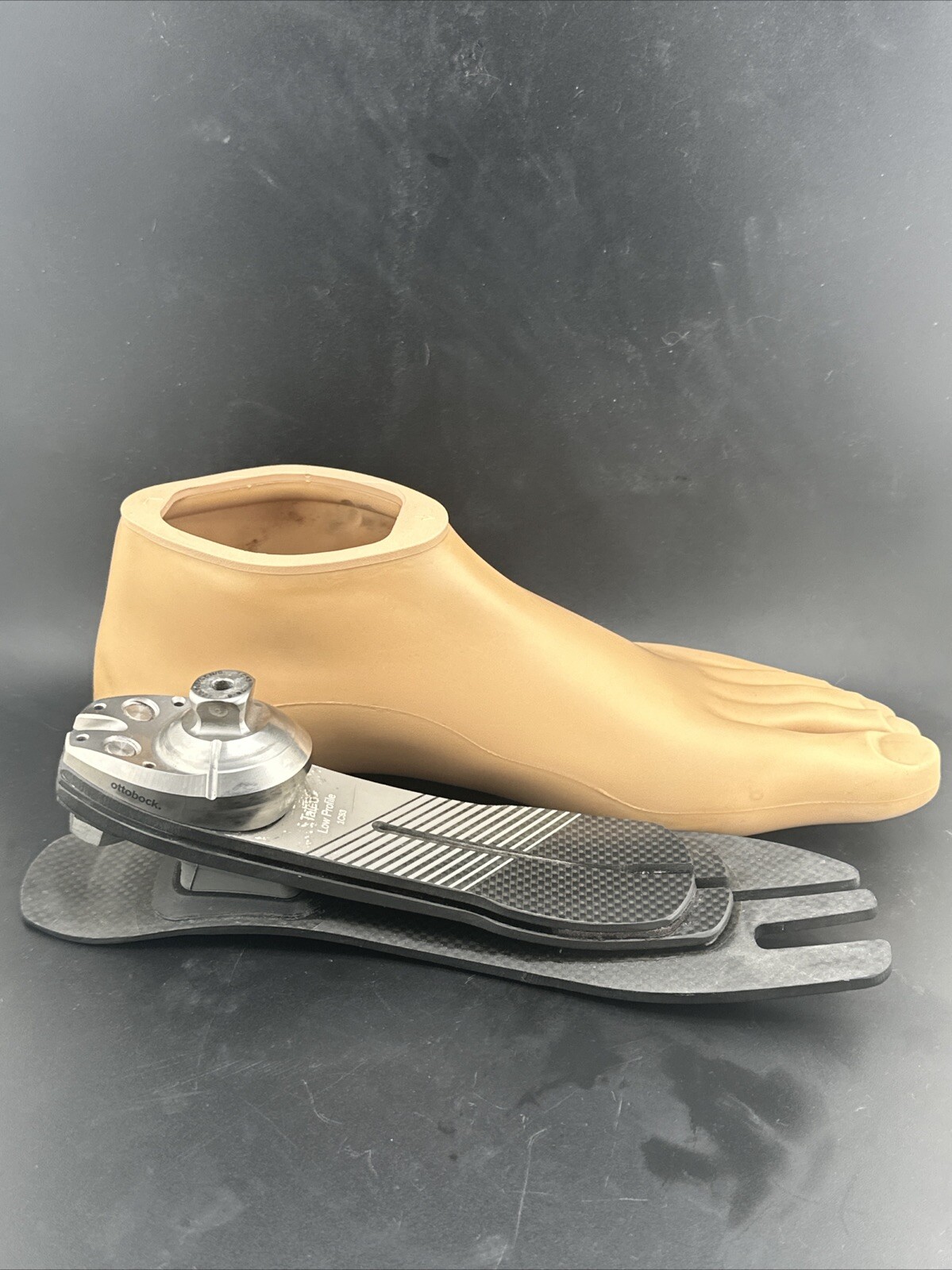 Ottobock Otto Bock Taleo LP 1C53 Prosthetic Foot. Size 28. Category 8. Left