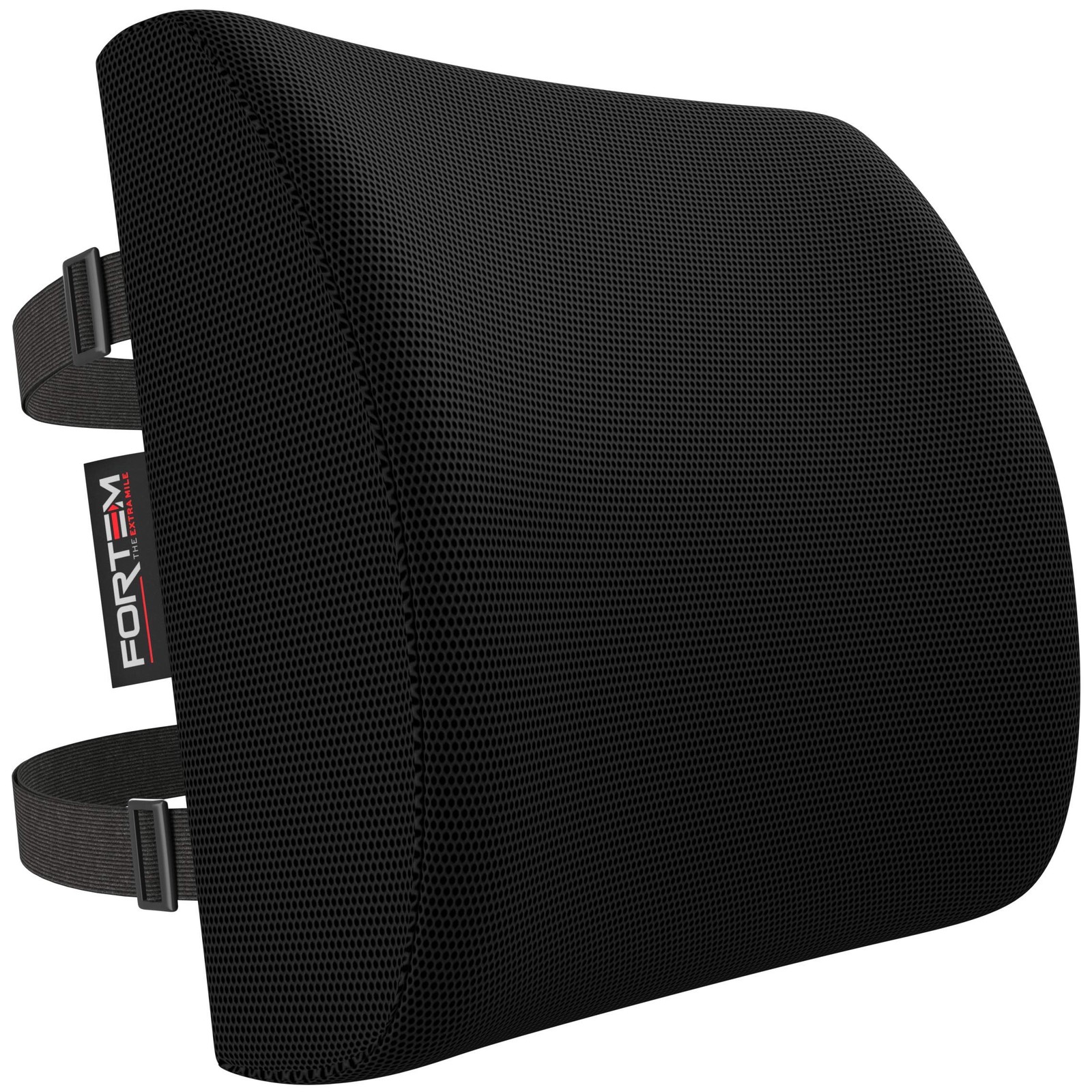 FORTEM Lumbar Support Office Chair, Lumbar Support Pillow for Car, Office Chair
