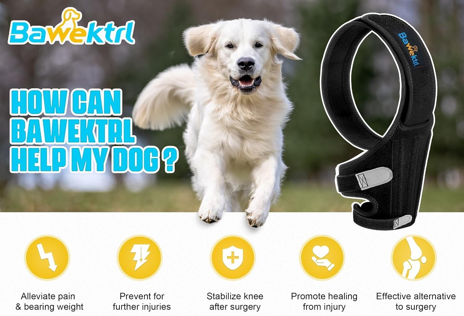 Dog Knee Brace for Torn ACL Hind Leg, Rear Leg Brace Support for Cruciate Lig…