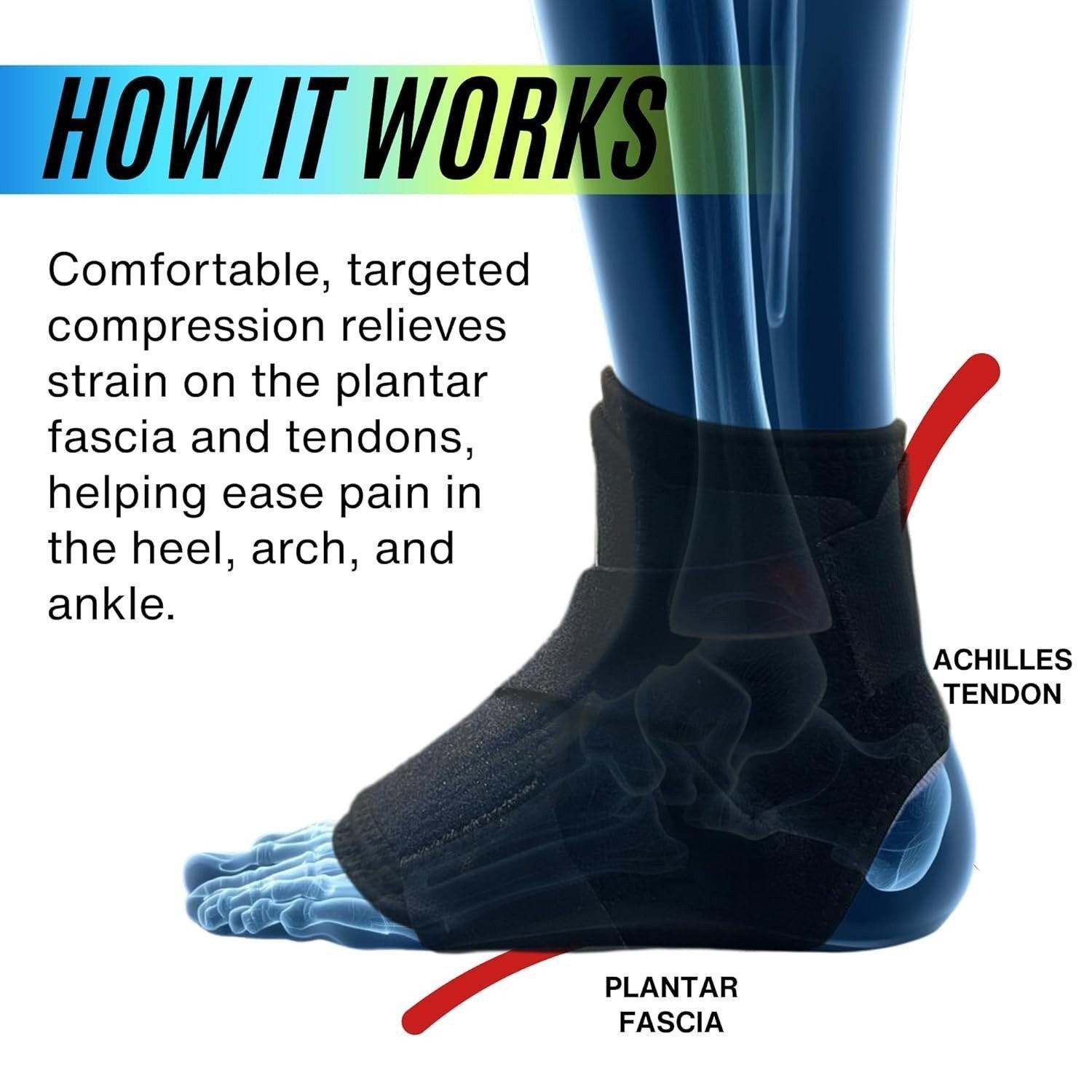 MDUB Light Ankle Brace 1 Pack – Achilles & Plantar Fasciitis Pain Relief Support