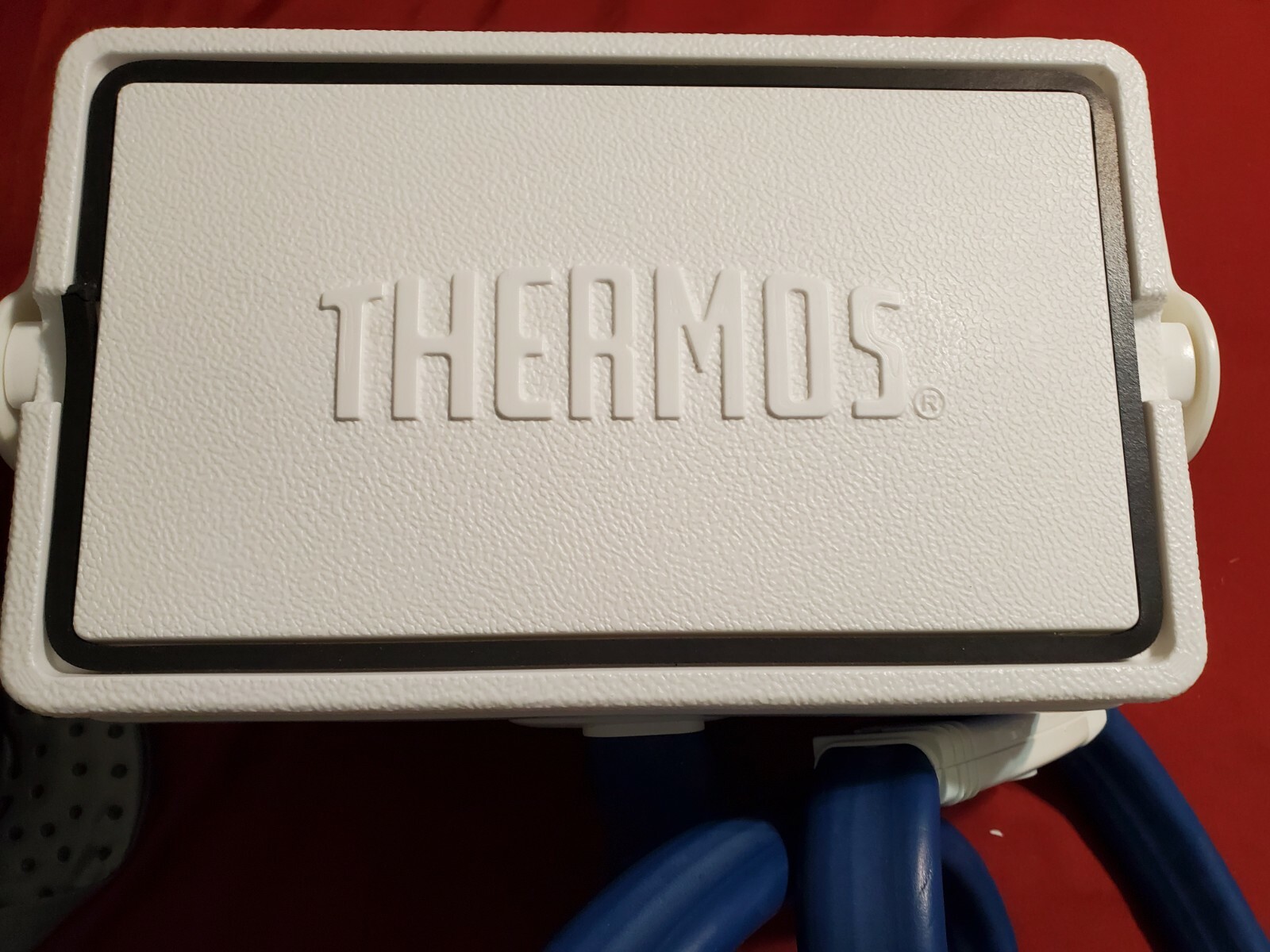 Ortho Rehab Blue Artic