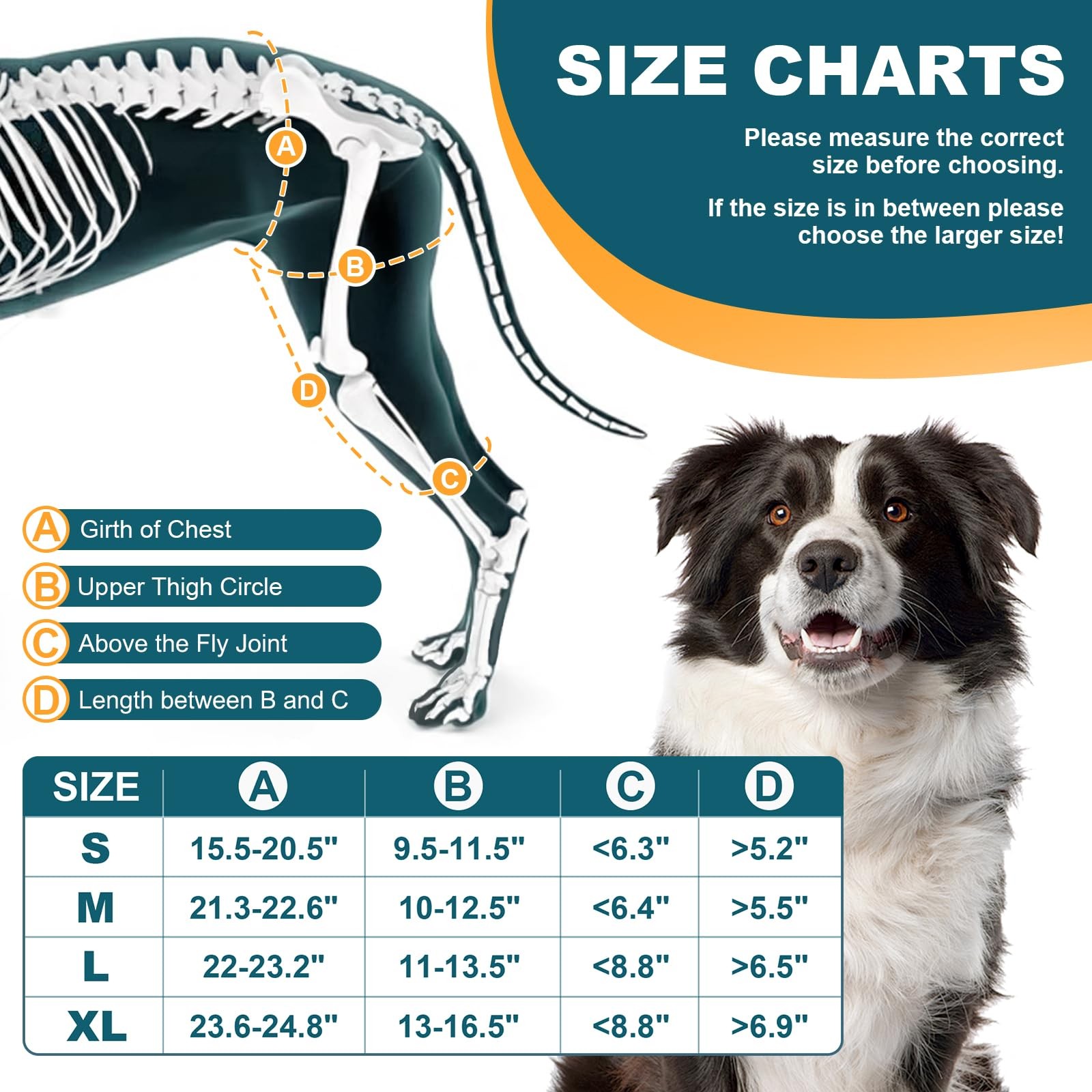 Dollephi Dog Knee Brace for Torn ACL Hind Leg, Patent Pending(Left Leg,S) | S…