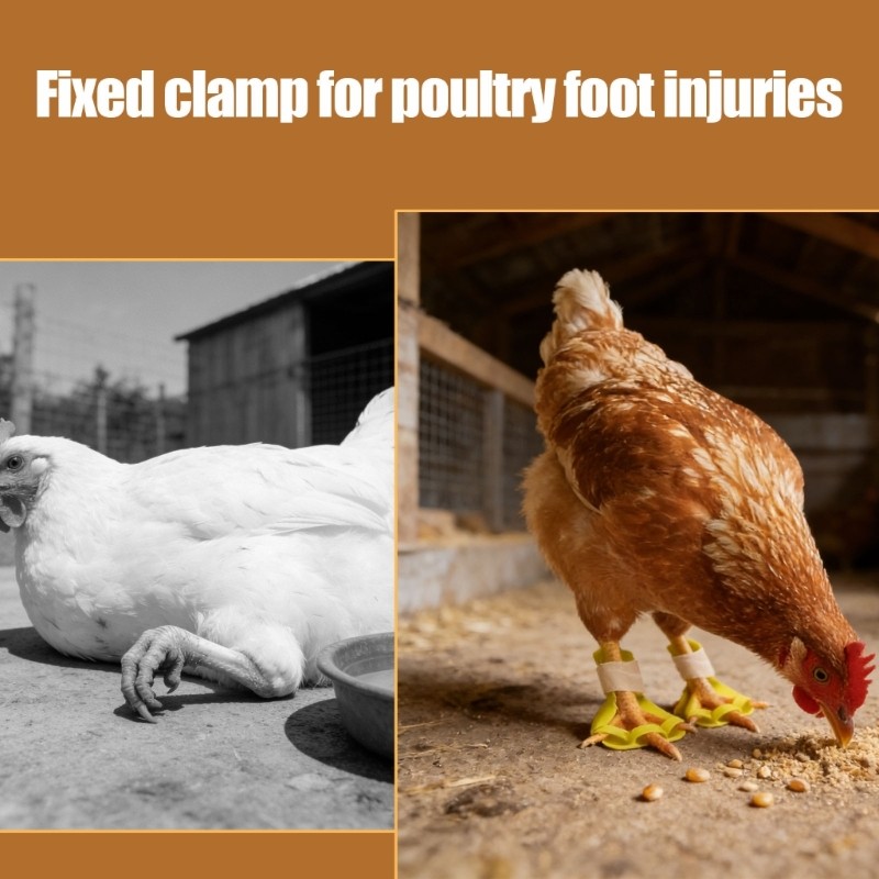 Pack of 4 Ventilated Chicken Leg Splints for Injury Amendment Modifiable Belts