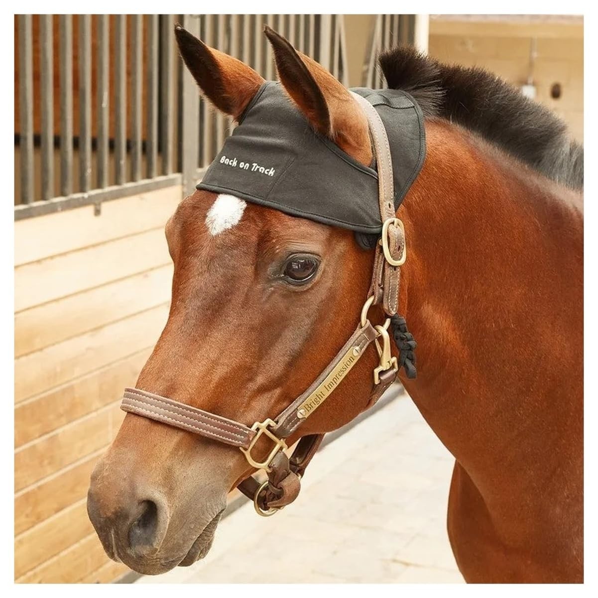 Back on Track Neck Protector Black