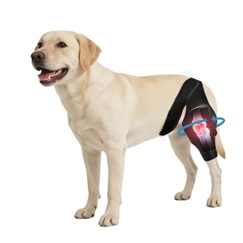 Adjustable Dog Knee Brace for Torn ACL/CCL – Hind Leg Support, Arthritis Relief,