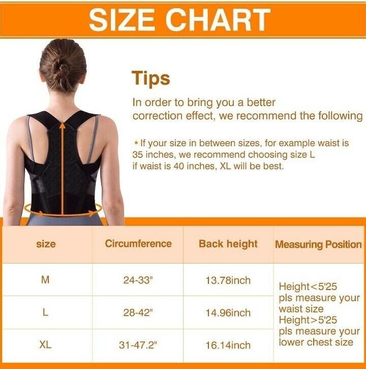 Maloow Posture Corrector Back Brace Size Large #215/234