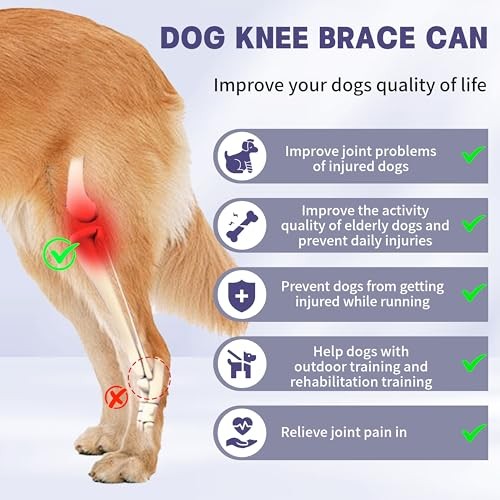 Dog Knee Brace for Torn Acl Hind Leg,Adjustable Four-Legged Universal Dog Knee