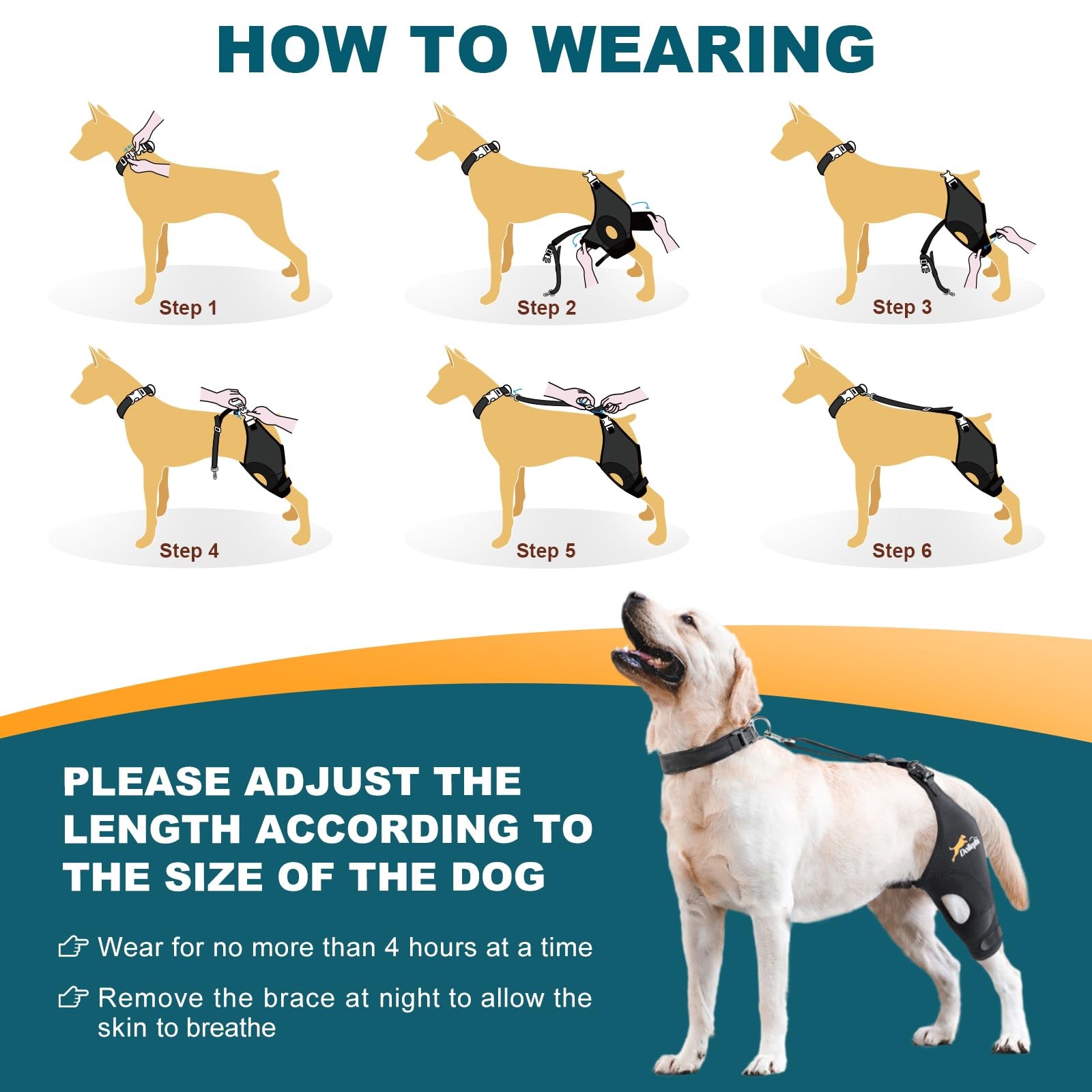 Dollephi Dog Knee Brace for Torn ACL Hind Leg, Patent Pending(Left Leg,S) | S…