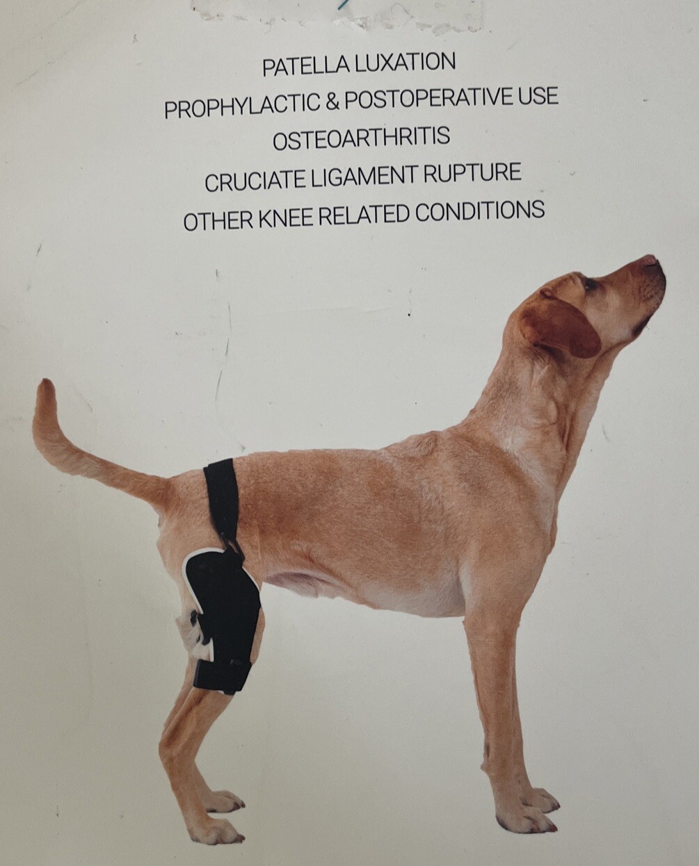Poveo Orthopedic Dog Knee Brace Left 2XL 40-55lbs BRAND NEW IN WRAPPER 0001