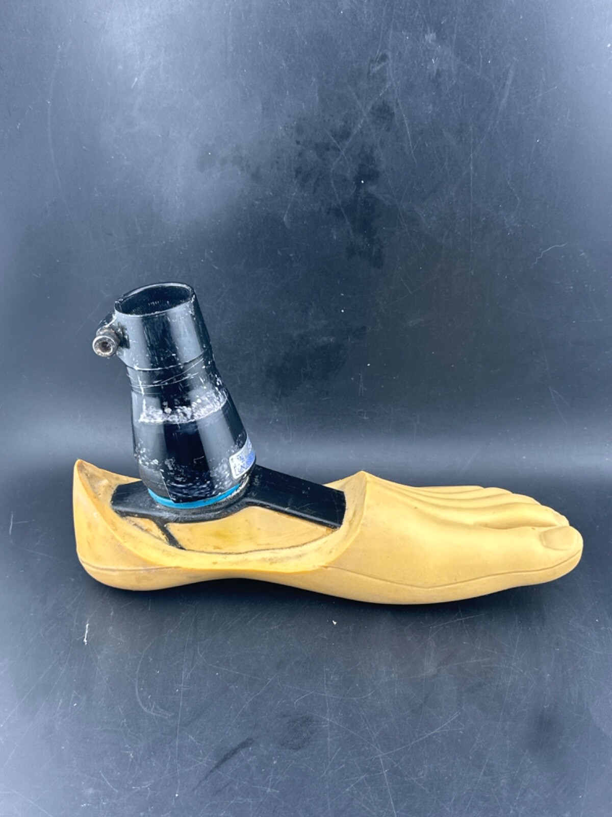 Blatchford endolite Multiflex mult flex prosthetic foot. Left. Size 23cm