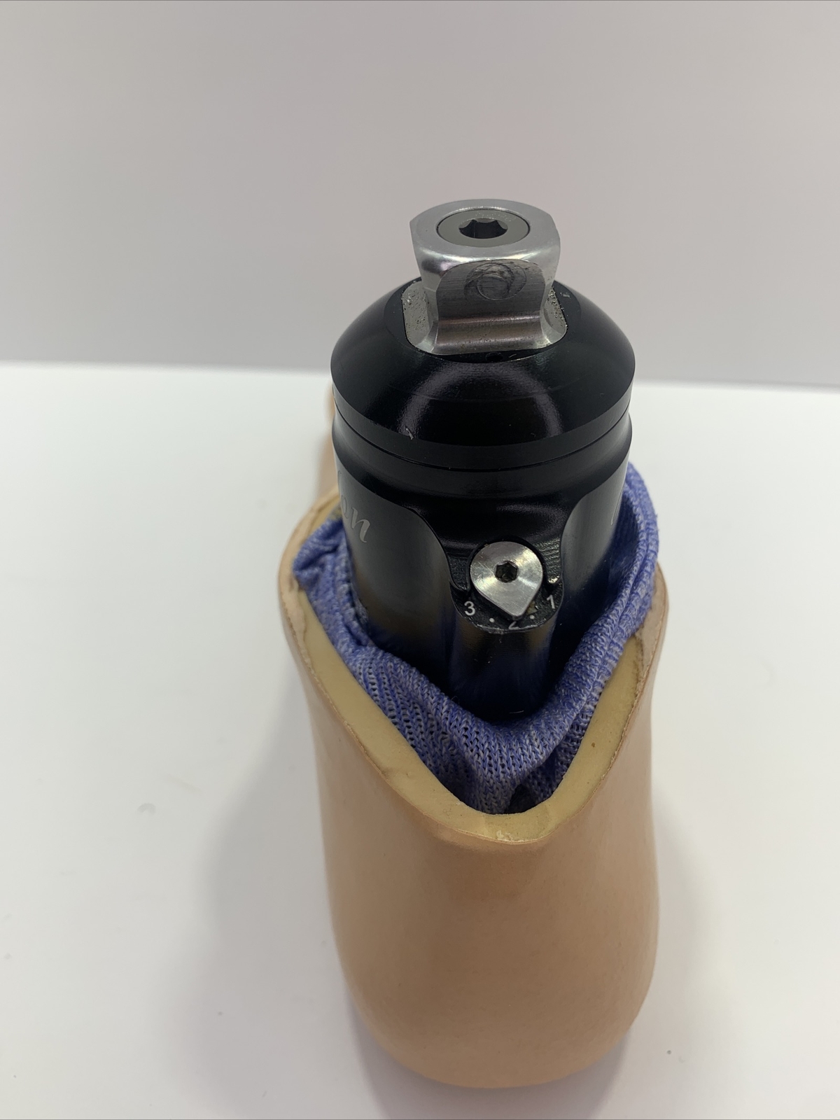endolite blatchford avalon prosthetic foot. hydraulic ankle foot.
