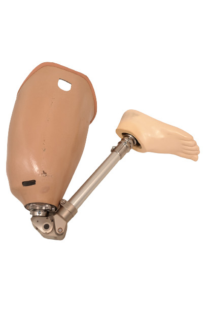 Prosthetic Leg Ossur Bulldog Left Leg&Foot Build Size 10
