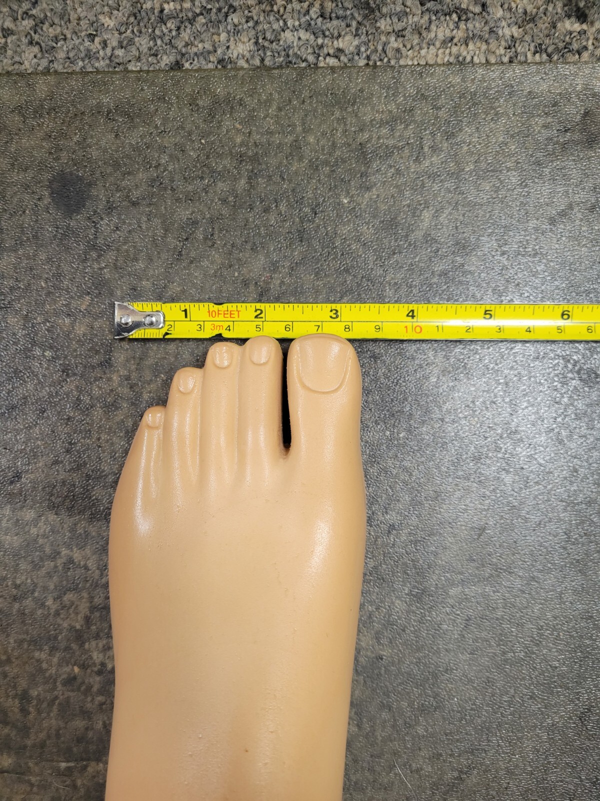 Molded Sach Foot- Low Profile, L-8-24CM