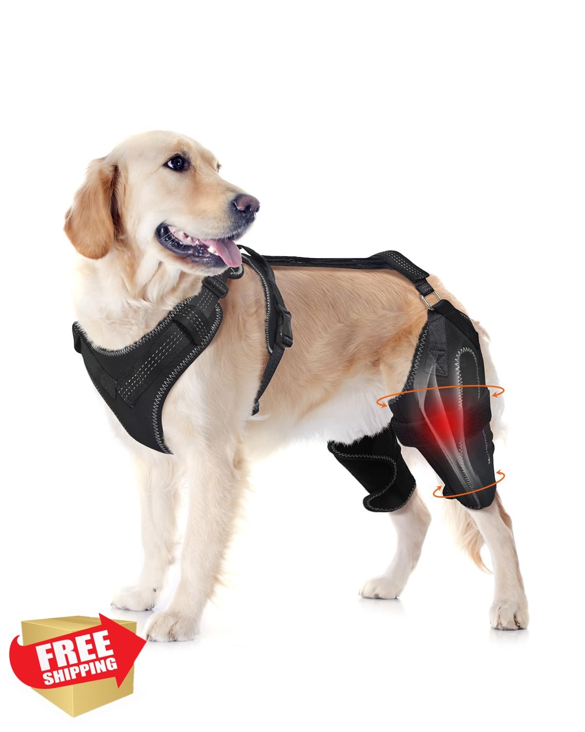 LISPOO Dog Knee Brace – Rear Leg Support, XXXL, Pain Relief, Adjustable