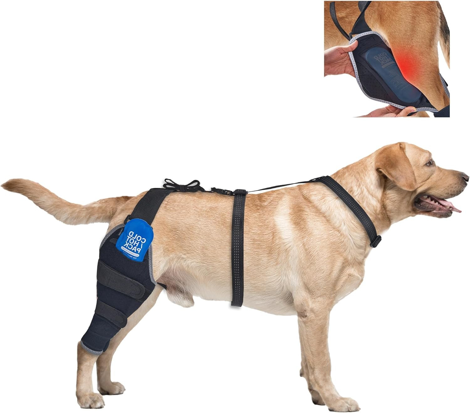 XL Dog Knee Brace for Torn ACL with Hot/Cold Gel Pack – Right Leg Support