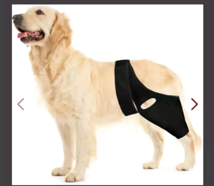 Knee Brace for Dogs ACL with Side Stabilizers,Knee Cap Dislocation,Arthritis (L)