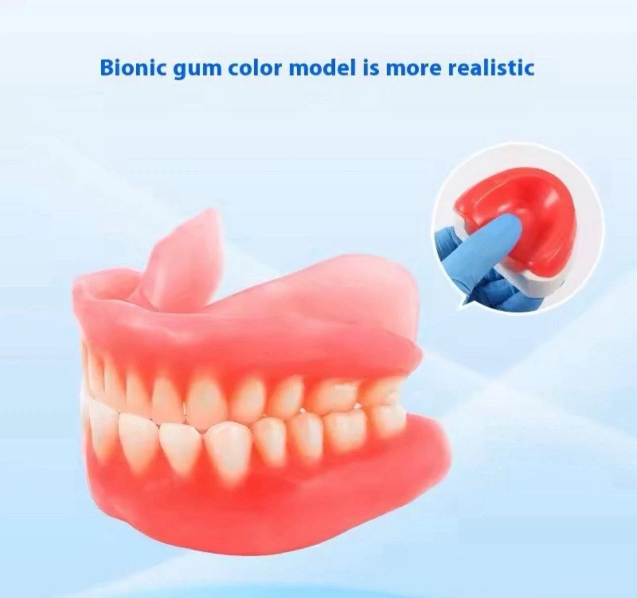 Dental Base Plate Wax U-Shape Rim Model Upper & Lower Pair for Denture Lab Use