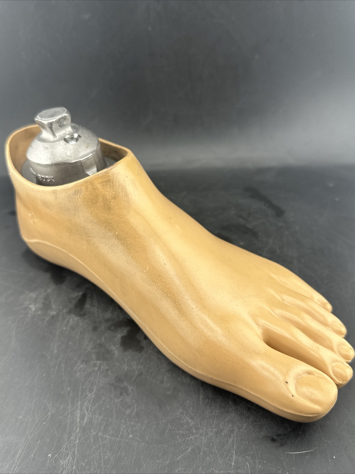 OTTOBOCK Otto Bock Greissinger Plus Prosthetic Foot. Left Size 25 1A30