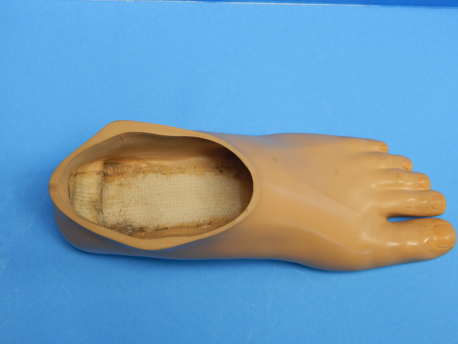 Freedom Prosthetic Foot Shell Size 24 cm LEFT split toe