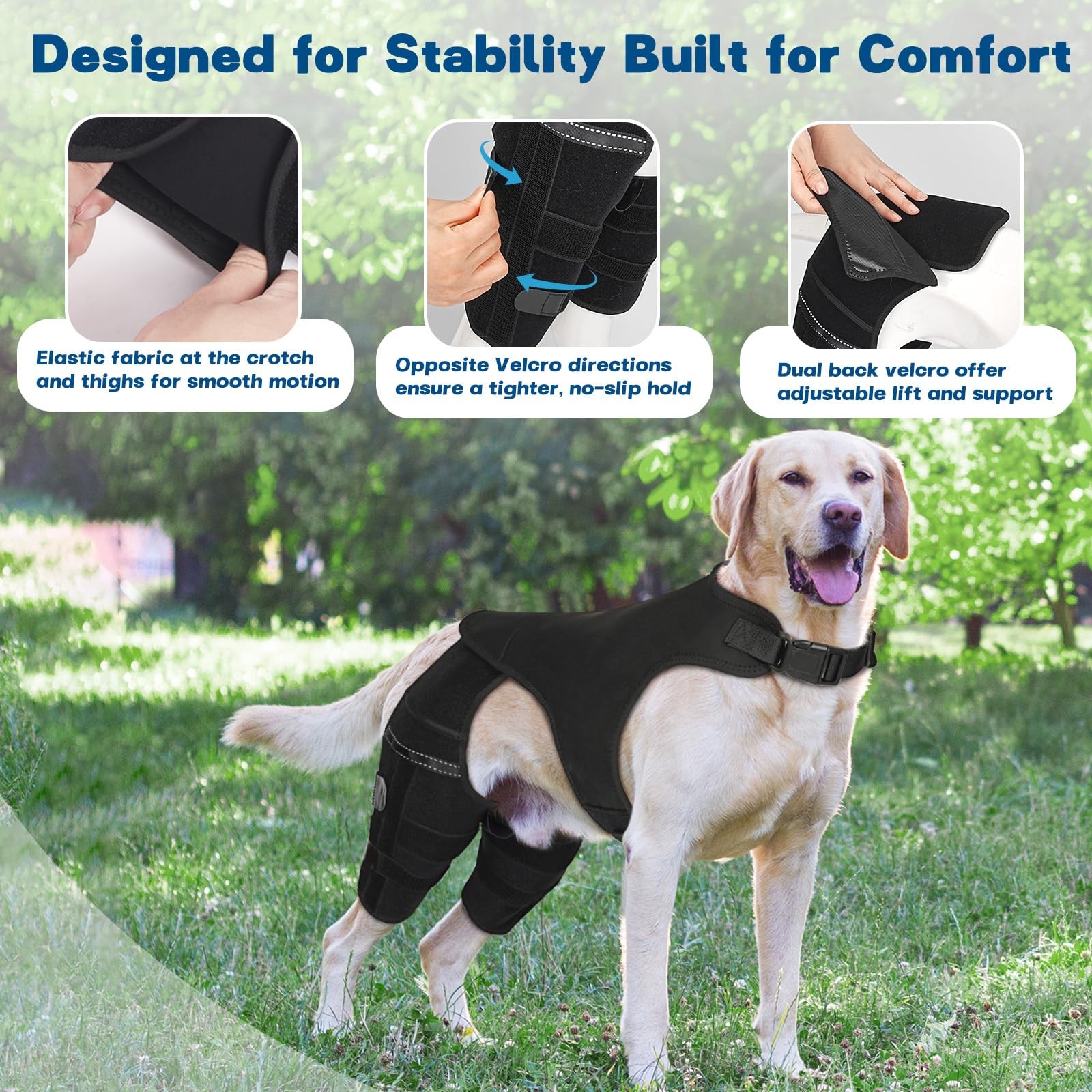 Pawfun Dog Knee Brace Hind Leg Support S