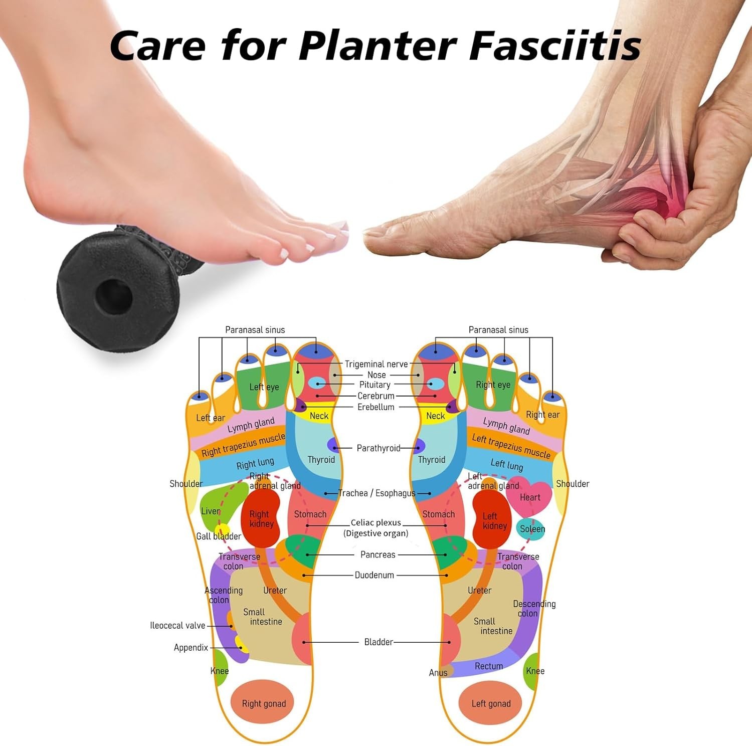 Deep Tissue Foot Massage Set: Roller and Balls for Plantar Fasciitis Relief