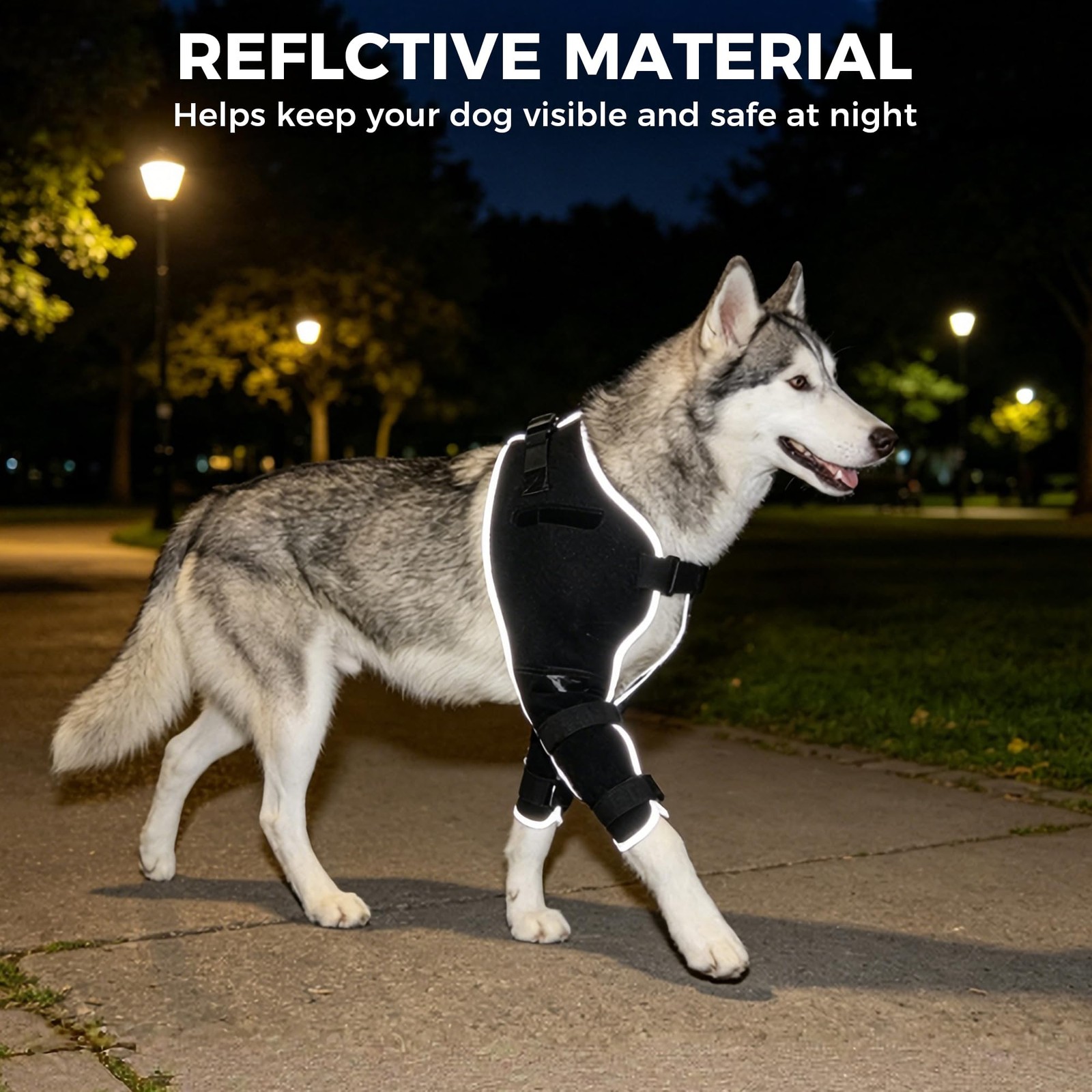 KISFLY Dog Elbow Brace for Arthritis with Gel Pack, Medium | Hot and cold the…