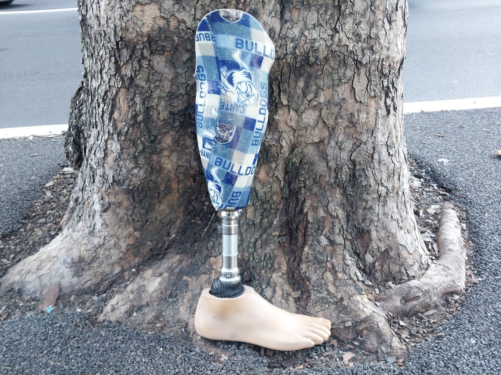 Ottobock 2R38 TITAN Below Knee Prosthetic Leg W Right Foot NRL BULLDOGS DESIGN