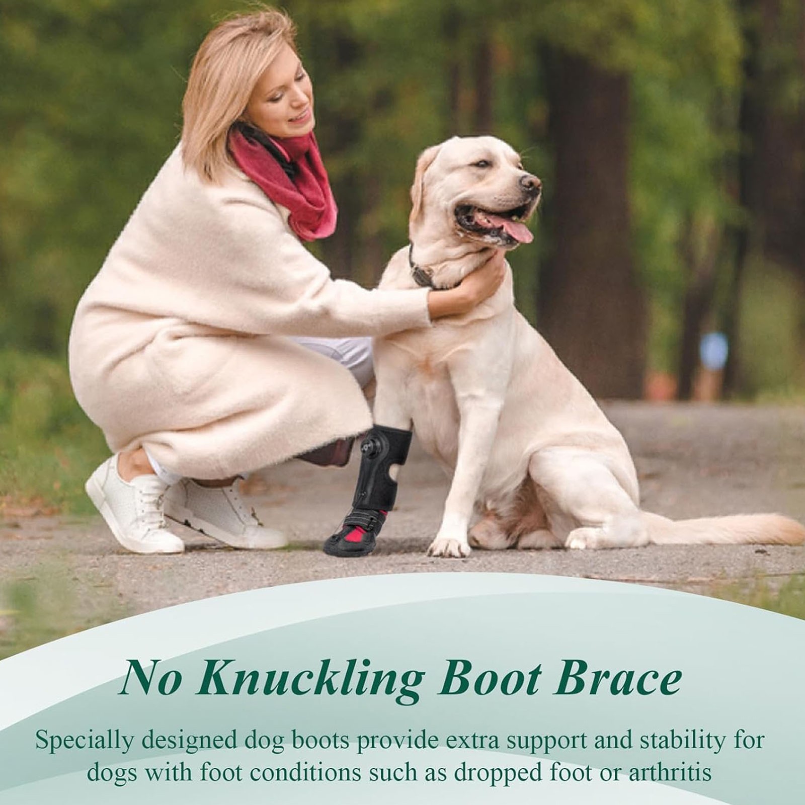 XL Dog Foot Brace Integrated Abrasion Proof Non Slip Sole Bottom Dog Boot